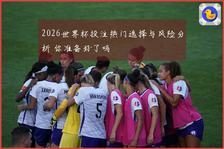 2026世界杯投注热门选择与风险分析 你准备好了吗