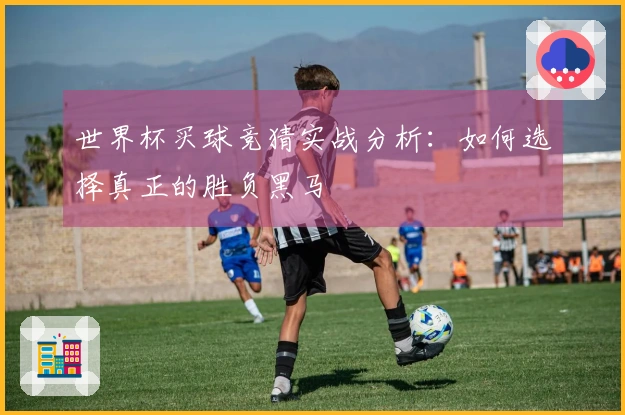 世界杯买球竞猜实战分析：如何选择真正的胜负黑马