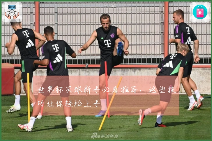 世界杯买球新手必看推荐，这些技巧让你轻松上手