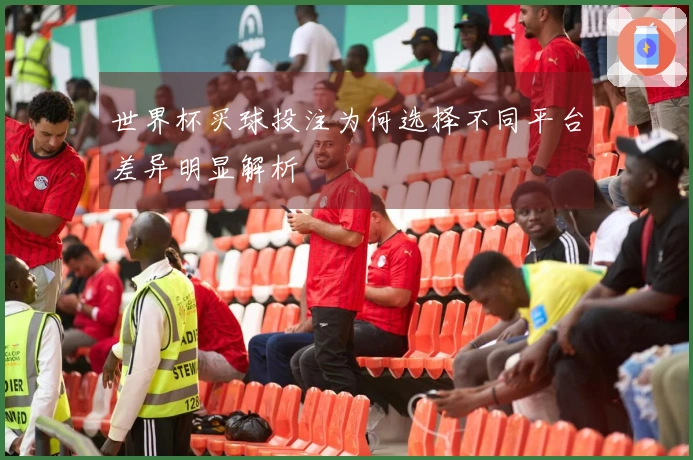 世界杯买球投注为何选择不同平台差异明显解析