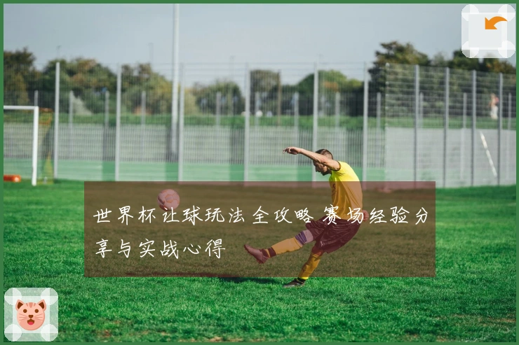 世界杯让球玩法全攻略 赛场经验分享与实战心得