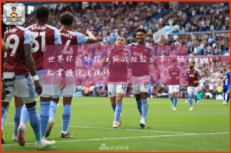 世界杯买球投注实战经验分享，轻松掌握投注技巧