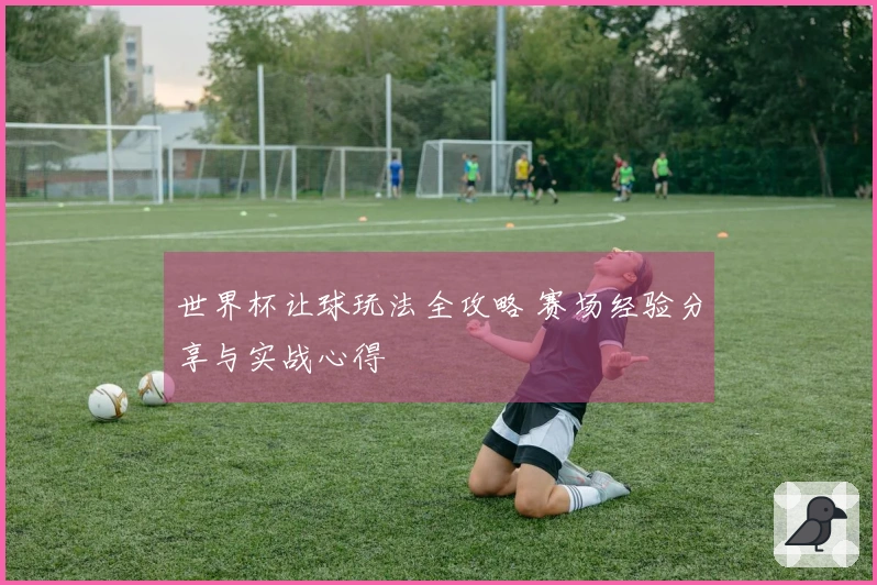 世界杯让球玩法全攻略 赛场经验分享与实战心得