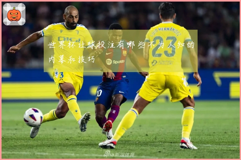 世界杯让球投注有哪些不为人知的内幕和技巧